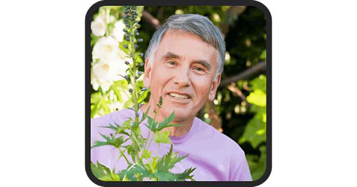 Steel Flow Pro Review 1